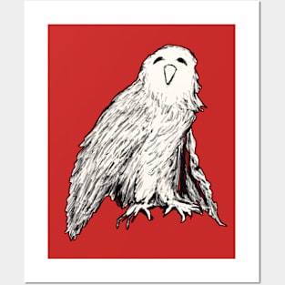 Barn Owl Posters and Art